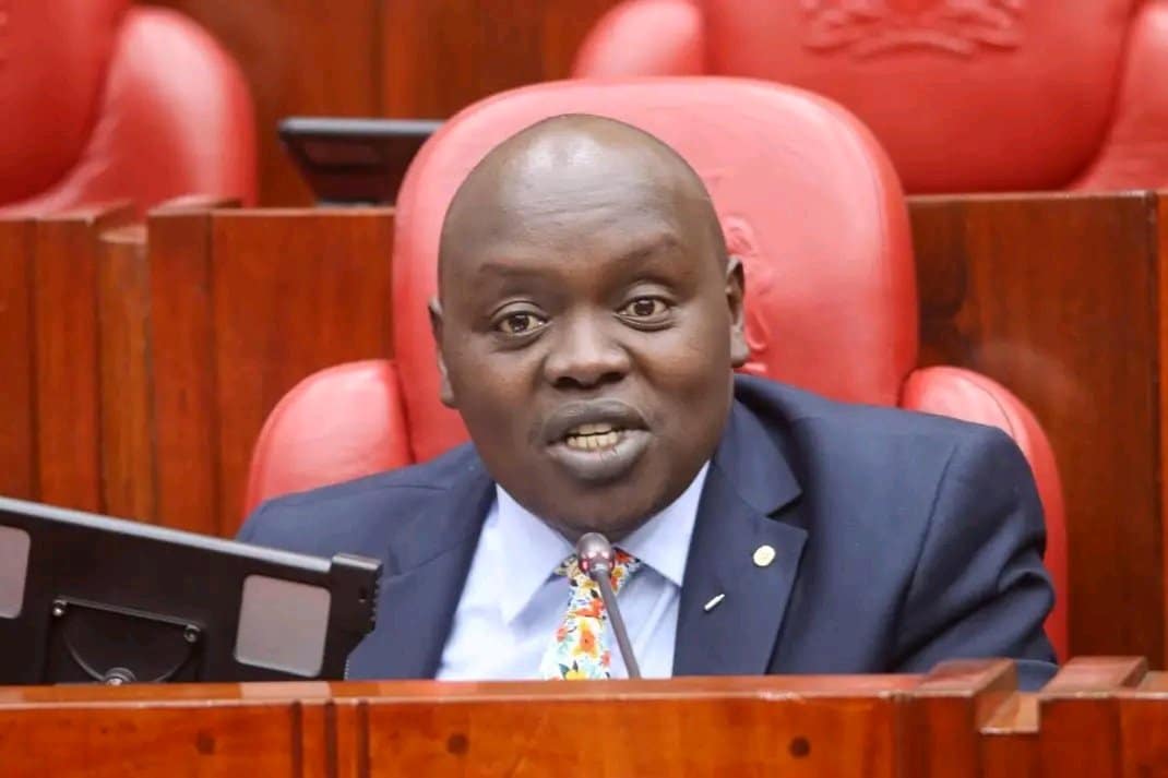 Nandi Senator Samson Cherargei at a past session in Parliament. PHOTO/Parliament.