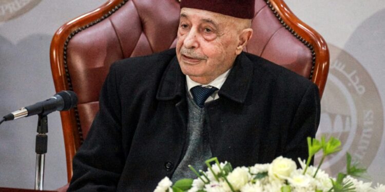 Aguila Saleh, speaker of Libya's Tobruk-based parliament, pictured here on December 6, 2020 | AFP
