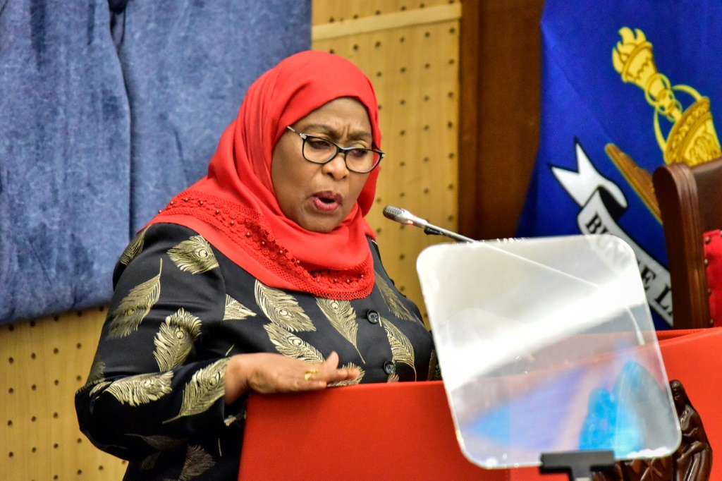 Tanzania's President Samia Suluhu Hassan has accused rivals inside the government of trying to damage her leadership | AFP