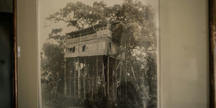 A photo on the wall shows the original tree house where Britain's Queen Elizabeth II of England stayed the night her father, the King, died and became Queen in 1952, at Treetops Lodge in Aberdare Narional Park in Nyeri, Kenya | AFP