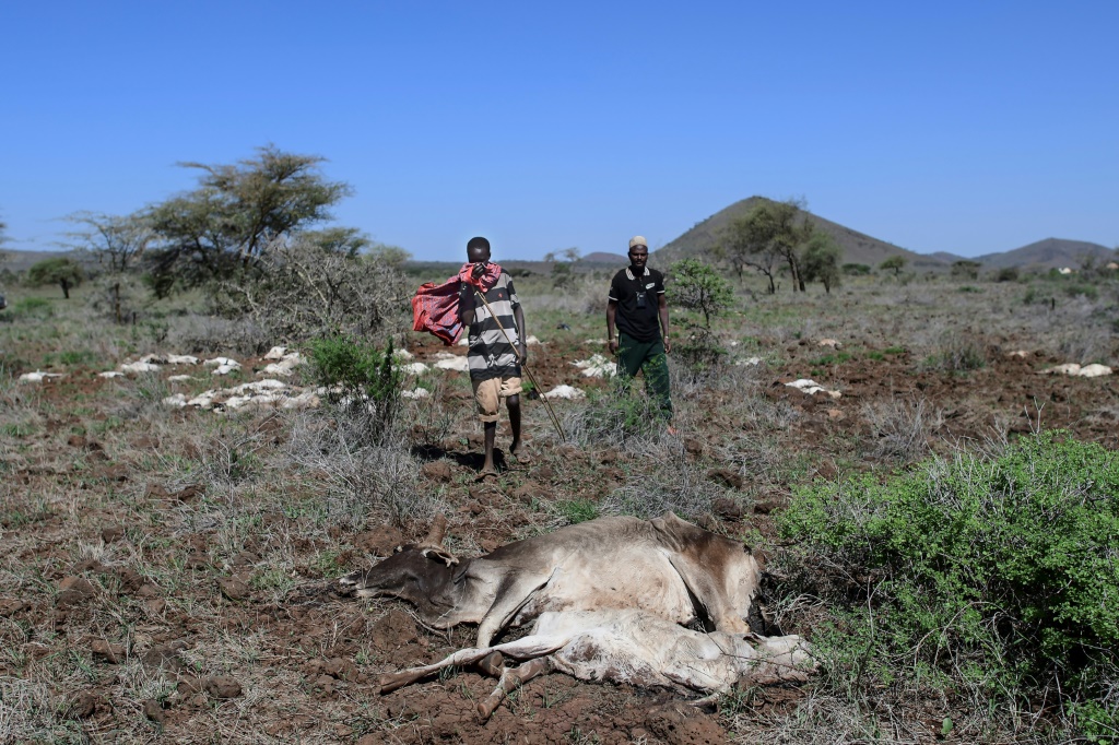 Marsabit has been the scene of a prolonged drought |  AFP