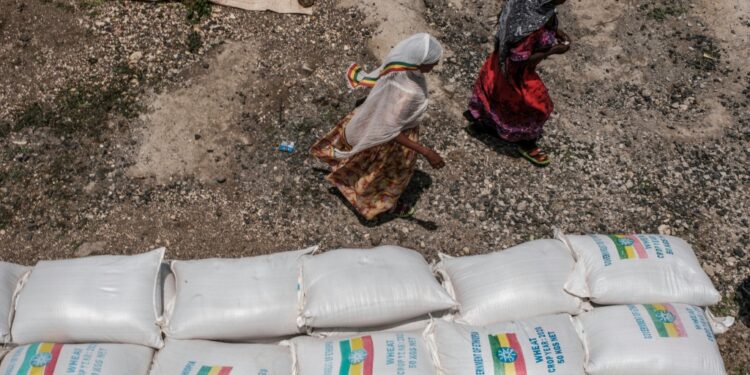 The war in northern Ethiopia has been punctuated by accounts of massacres and mass rapes | AFP