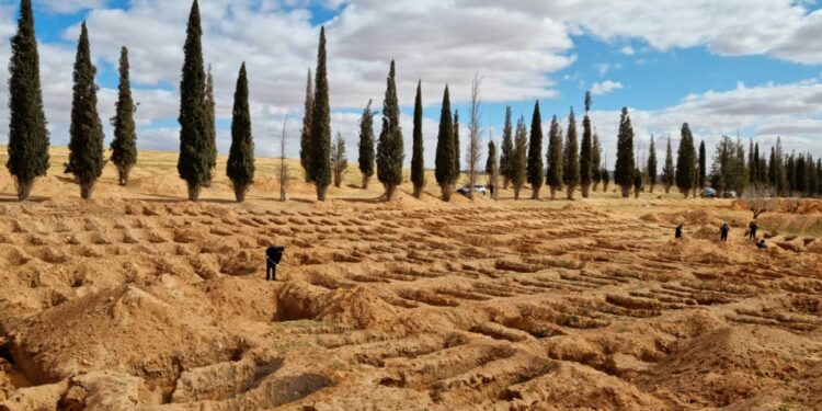 For years a brutal family clan that kept caged lions to sow fear killed hundreds of people in the Libyan town of Tarhuna, then dumped their bodies in mass graves | AFP