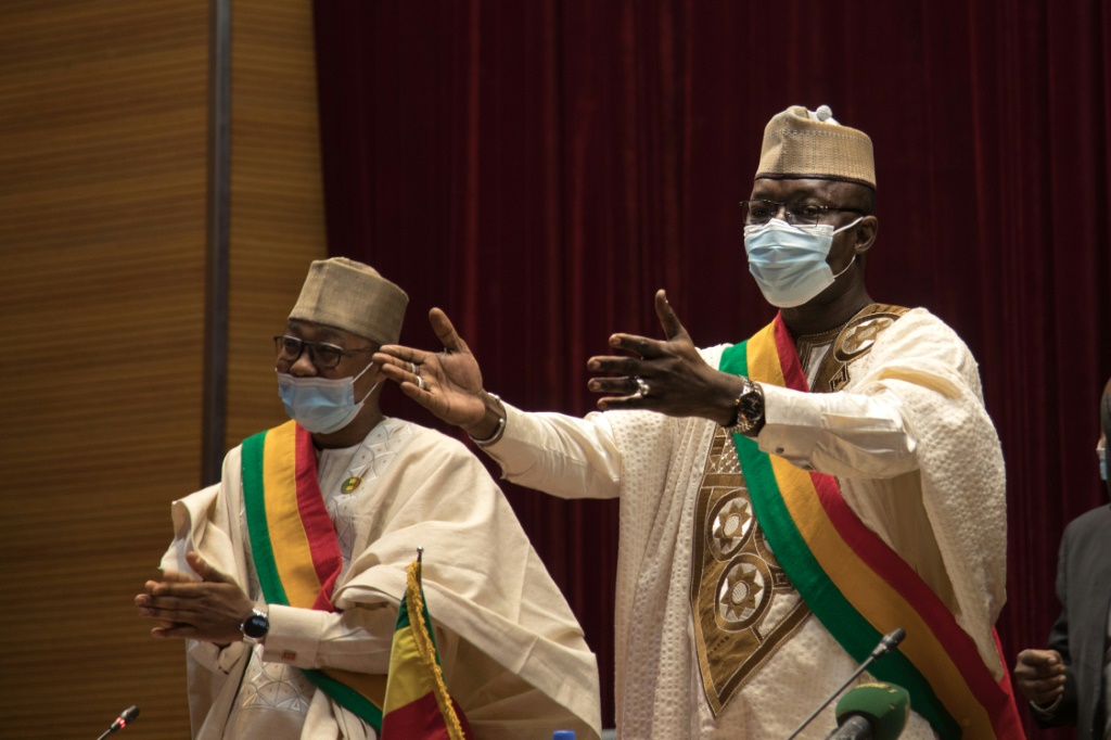 Malick Diaw, the president of the interim parliament, addresses members at Monday's session | AFP