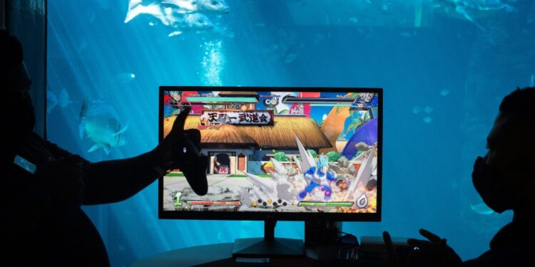 Something fishy: Two gamers fight it out in a popular game with an aquarium in the background at the Africa Games Week in Cape Town | AFP