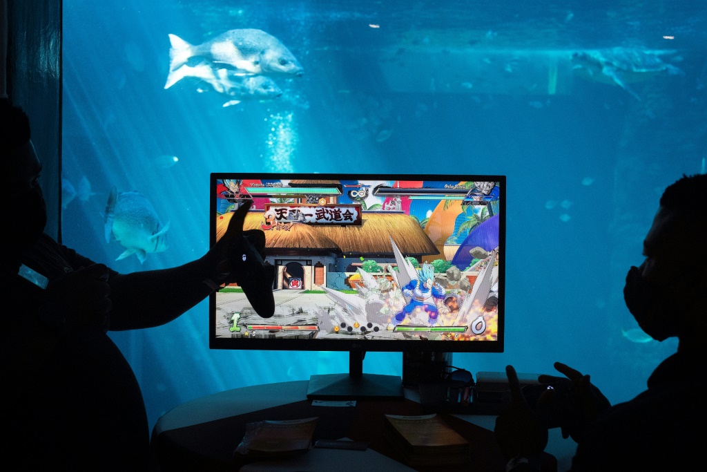Something fishy: Two gamers fight it out in a popular game with an aquarium in the background at the Africa Games Week in Cape Town | AFP