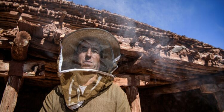 For the villagers of Inzerki, the collapse of hives is an ecological and economic disaster -- but also a crisis for their unique heritage | AFP