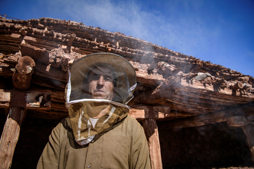For the villagers of Inzerki, the collapse of hives is an ecological and economic disaster -- but also a crisis for their unique heritage | AFP