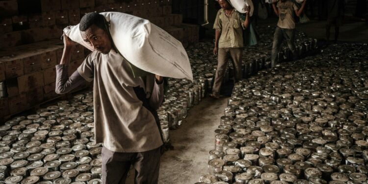 The war has created a humanitarian crisis in northern Ethiopia and sparked famine fears in Tigray | AFP