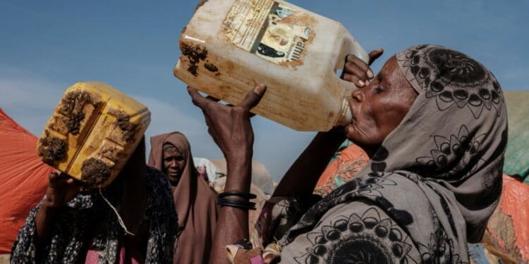Six million Somalis or 40 percent of the population are facing extreme levels of food insecurity | AFP