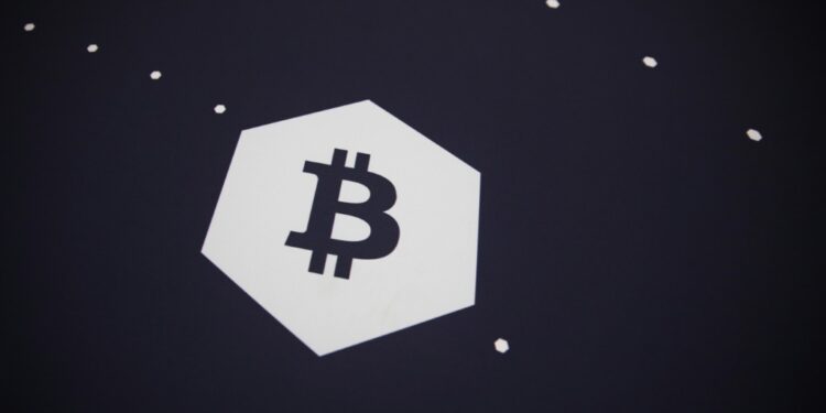 The Central African Republic has joined El Salvador in embracing bitcoin | AFP