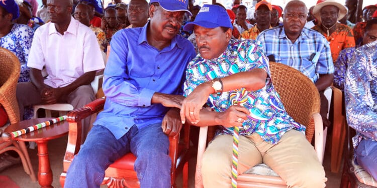 Raila Odinga and Kalonzo Musyoka at a past function