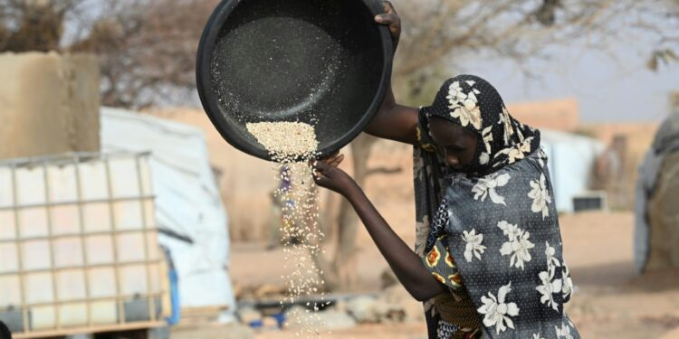 The war in Ukraine has sent the cost of fuel, grain and fertilizers skyrocketing , which is being acutely felt in Africa |AFP