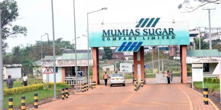 Mumias