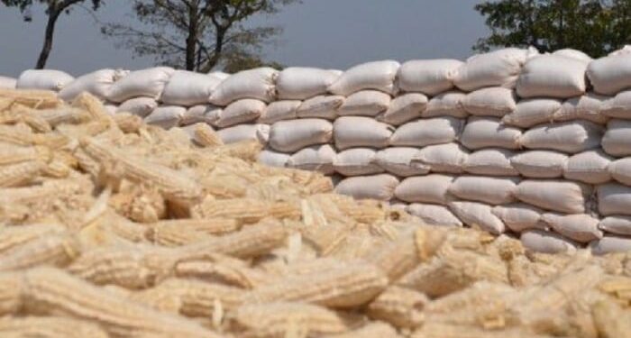 Duty-Free Maize Imports