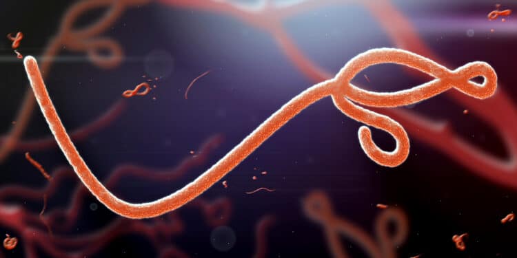 Ebola