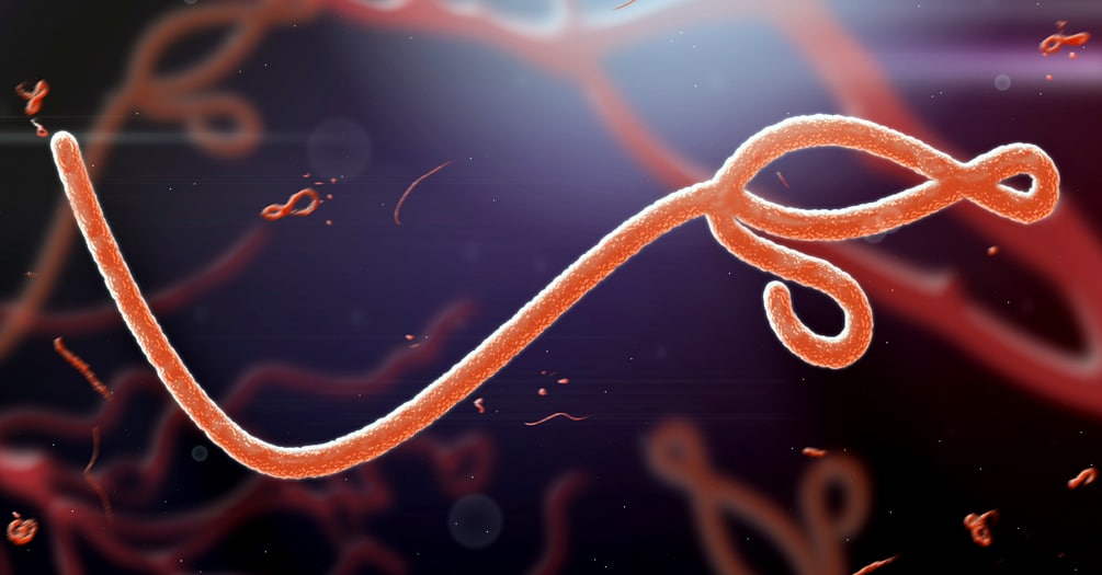 Ebola