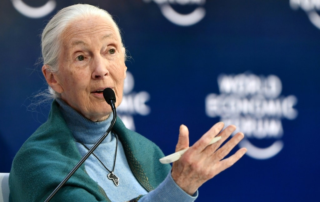 Earth's climate is changing so quickly that humanity is running out of chances to fix it, primatologist Jane Goodall -- pictured on January 22, 2020 -- has warned in an interview | AFP