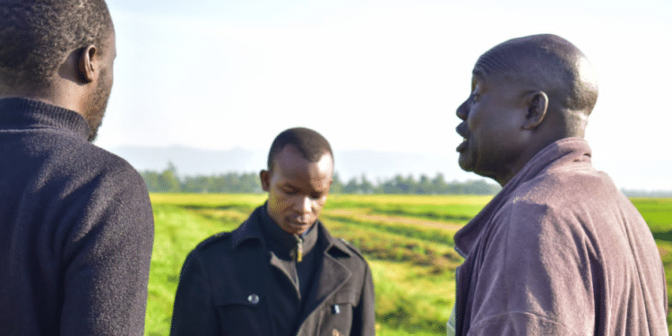 Shem Omalla, veteran rice farmer in conversation with this author | 
Photo The Kenya Times