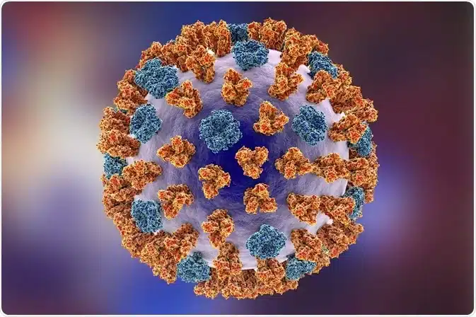 Influenza A structure.
Photo: Courtesy