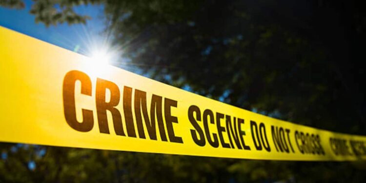 Roysambu Murder
