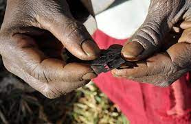 Female genital mutilation is outlawed under Kenyan laws.Photo/Courtesy