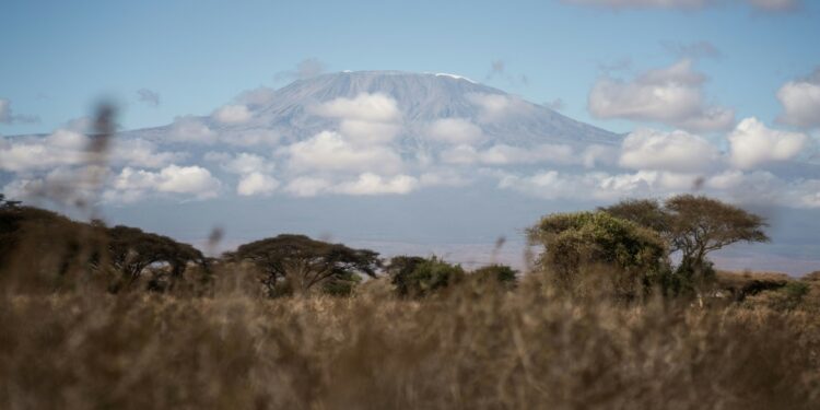 Kilimanjaro