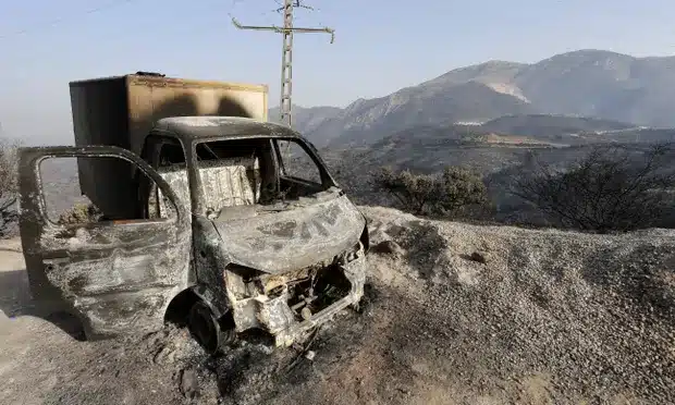 The spot where Ismail was killed in the Kabyle region, Algeria.
Photo: Toufik Doudou/AP