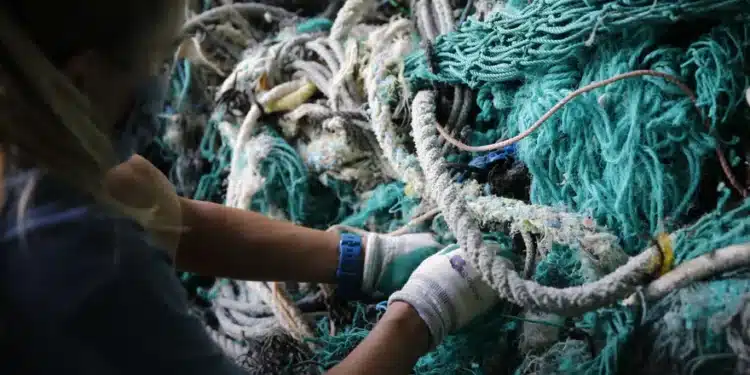 A Researcher Tracing Fishing Gear That Washed Ashore.
Photo:    Caleb Jones/Ap