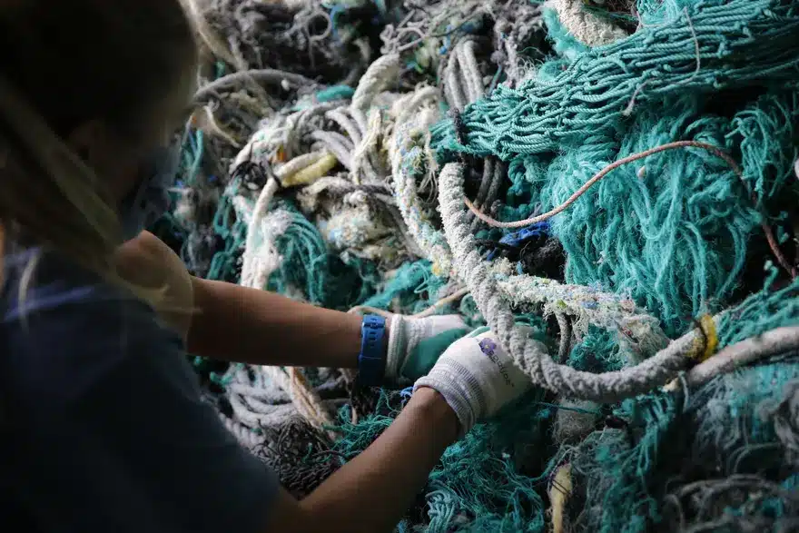 A researcher tracing fishing gear that washed ashore.
Photo:    Caleb Jones/AP