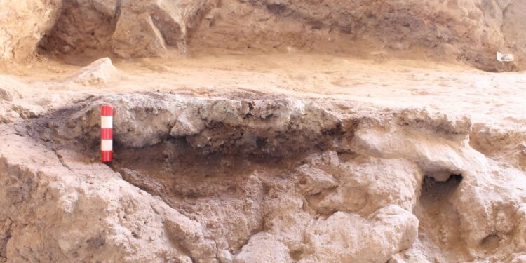 Neanderthal hearth was unearthed at Shanidar Cave.
Photo: Graeme Barker