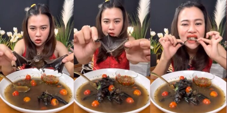 Thai