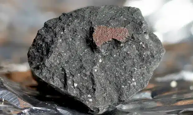 Winchcombe meteorite
Photograph: Trustees of the Natural History Museum/PA