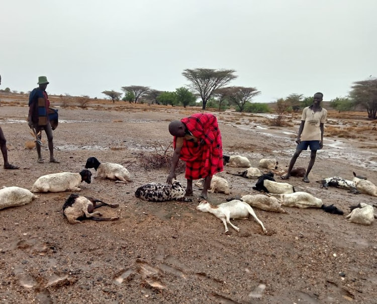 President on Drought