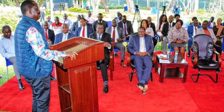Raila says the plot to kick our four IEBC commissioners is part of the scheme to rig the 2027 polls.Photo/Courtesy