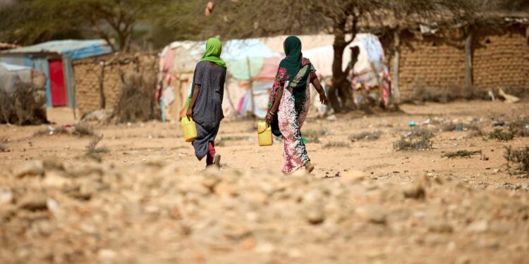 1.3 million people in Somalia have had to leave their homes because of drought.
Photo: ICRC
