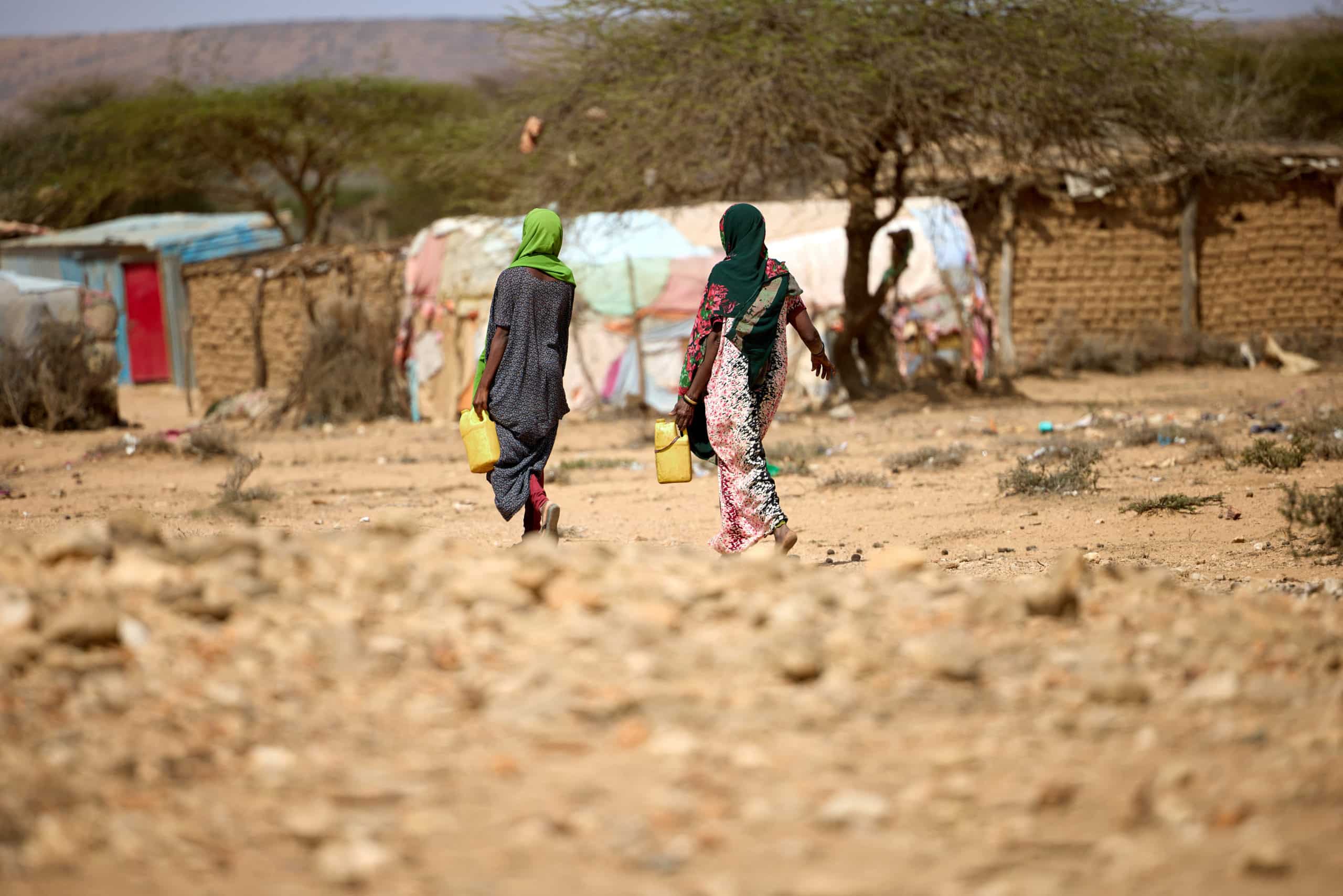 1.3 million people in Somalia have had to leave their homes because of drought.
Photo: ICRC