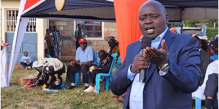 Nandi Senator Samson Cherargei. Photo/Courtesy