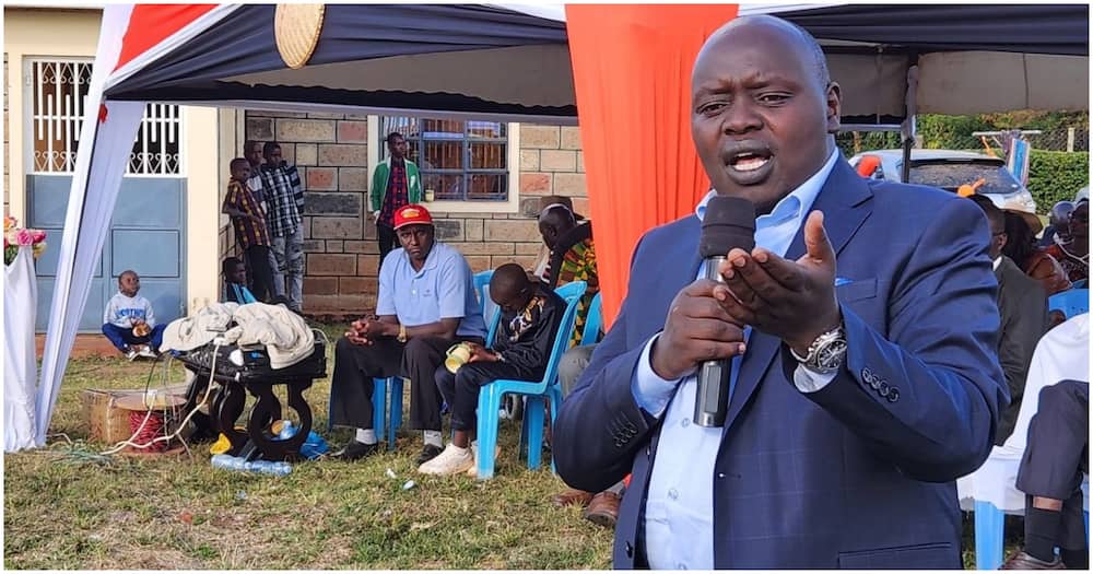 Nandi Senator Samson Cherargei. Photo/Courtesy