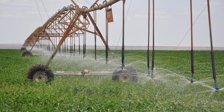 A site within the expansive Galana Kulalu irrigation project.President Ruto has announced plans to revive the scheme.Photo/NIA