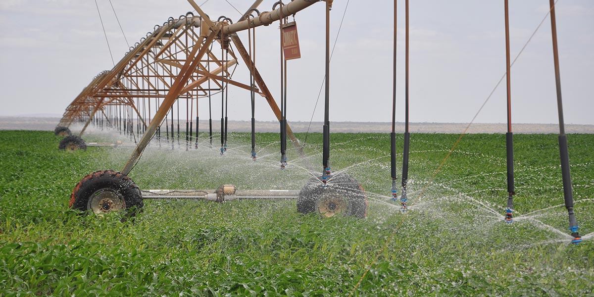 A site within the expansive Galana Kulalu irrigation project.President Ruto has announced plans to revive the scheme.Photo/NIA