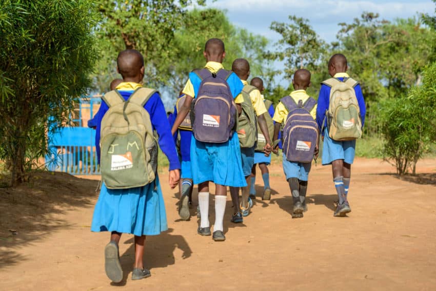 ODM Blames Ruto for Closure of Private School