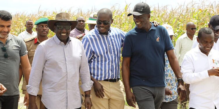 Nairobi Governor Johnson Sakaja (in stripped shirt)  with President William Ruto during a tour of the Galana Kulalu project.Photo/Courtesy