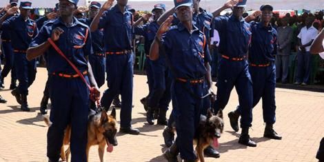 Private security guards in a march-past during a past event.Photo/Courtesy