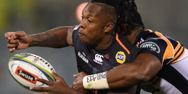 Springbok's Sbu Nkosi Photo Courtesy