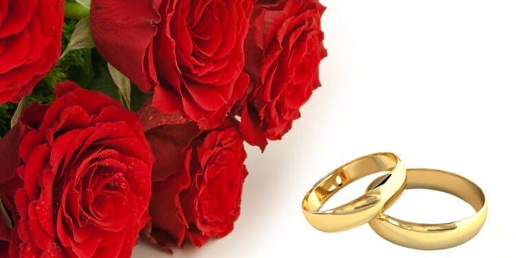 Rings and Roses
Photo Courtesy