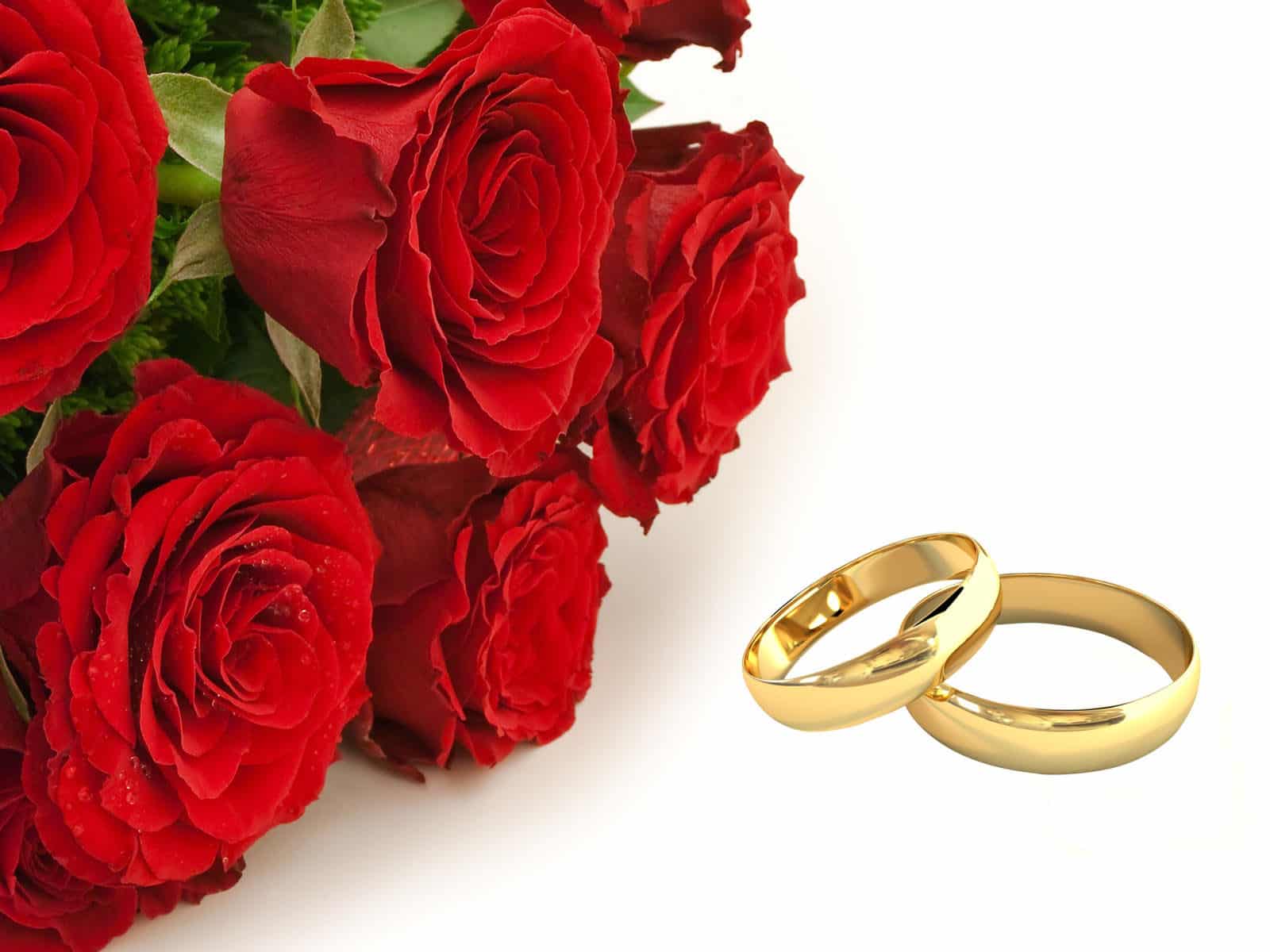 Rings and Roses
Photo Courtesy