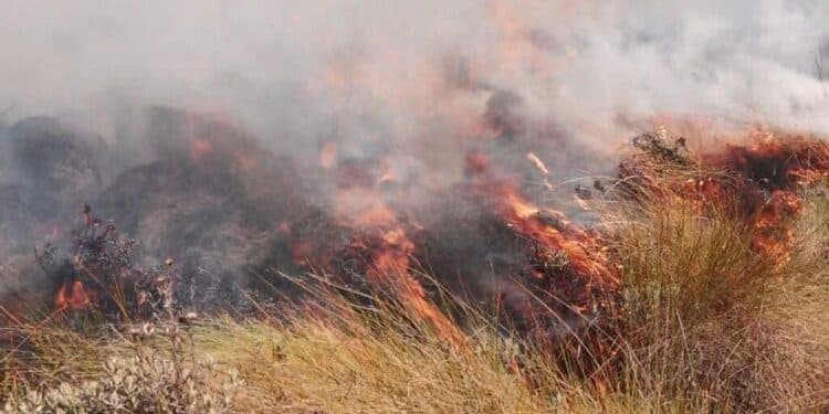 KFS is fighting to contain the fire that started eleven days ago.Photo/Courtesy