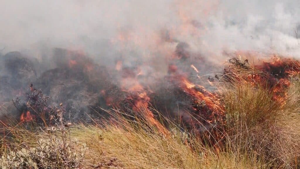 KFS is fighting to contain the fire that started eleven days ago.Photo/Courtesy