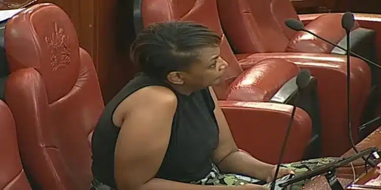 Nominated Senator Karen Nyamu in Senate
Photo Courtesy